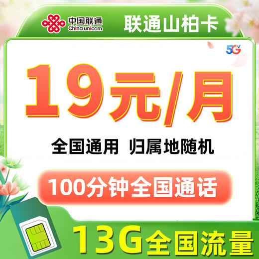 【联通5G手机卡】 19元13G全国流量100分钟老人儿童电话手表 商品图0