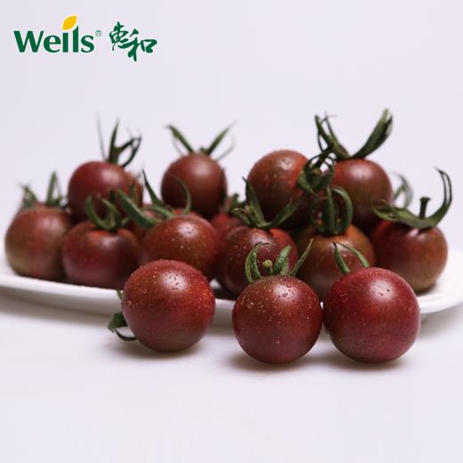 「专业种子」黑珍珠二号 番茄杂交种子 深褐色至黑色迷你番茄，浓郁水果香味，果重约30g 商品图0