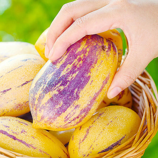 【民勤】沙漠人参果#皮薄肉厚清甜多汁，解渴解腻，民勤沙漠种植，昼夜温差大，雪水灌溉营养丰富 商品图4