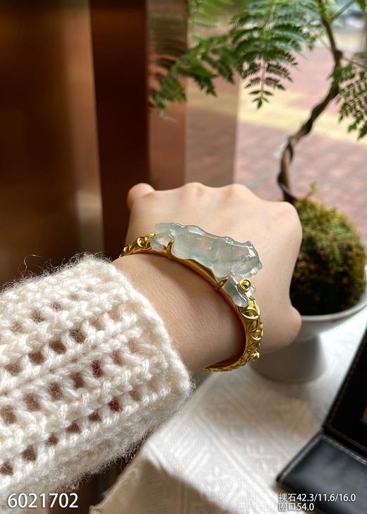 6021702，豹子手镯。具体价格微信咨询 商品图5