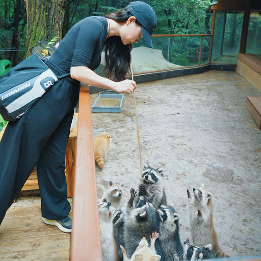昆明周边｜青龙峡雨林徒步一日游！独家野生徒步新路线！每天可出发，亲子成人都可去，萌宠互动/秘境皮划艇/森林野餐/树攀体验/山野秘境中徒步，适合5岁-12岁的亲子家庭～五一端午路线提前预定！ 商品图13