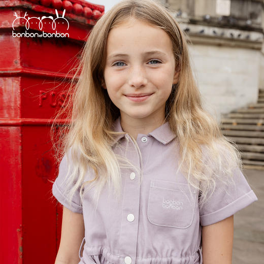 紫灰翻领系带短袖连衣裙 商品图2