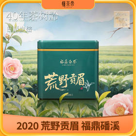 懂茶帝福鼎白茶高山荒野茶2020年大洋山荒野贡眉100g老白茶散茶