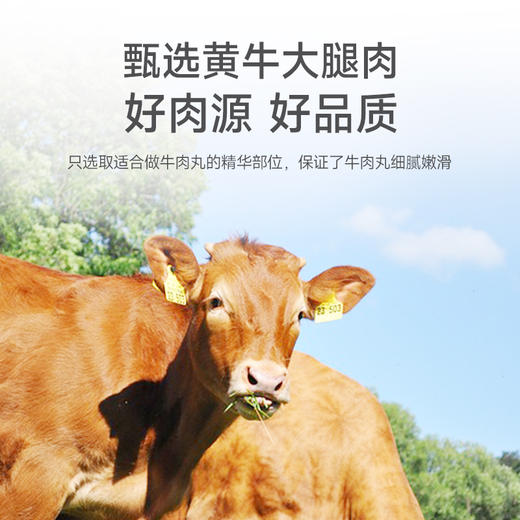 牛肉丸250g/袋*2袋组合 商品图3