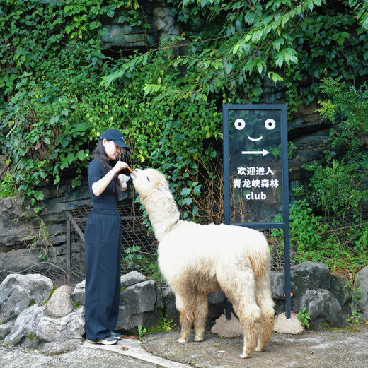 昆明周边｜青龙峡雨林徒步一日游！独家野生徒步新路线！每天可出发，亲子成人都可去，萌宠互动/秘境皮划艇/森林野餐/树攀体验/山野秘境中徒步，适合5岁-12岁的亲子家庭～五一端午路线提前预定！ 商品图12