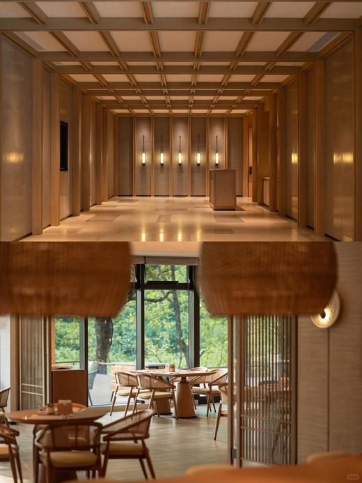 🍃 周末不加价丨仙居悦柳酒店 × 318大促 · 2间夜（可拆分） · 双人晚餐+爱丽丝仙境乐园房套餐 商品图9