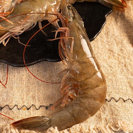 【限时多送1盒！】南美白虾丨一定要尝的对虾，高端的食材往往采用朴素的烹饪方式，蒸熟后肉质很紧、韧、润，鲜美⭐️顺丰陆运 商品图2