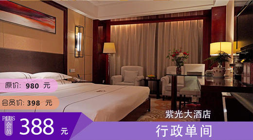 昭通紫光大酒店 行政单间 商品图0