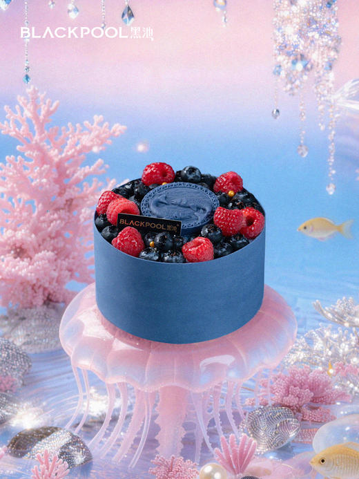 双鱼座·星芒 黑池 商品图4