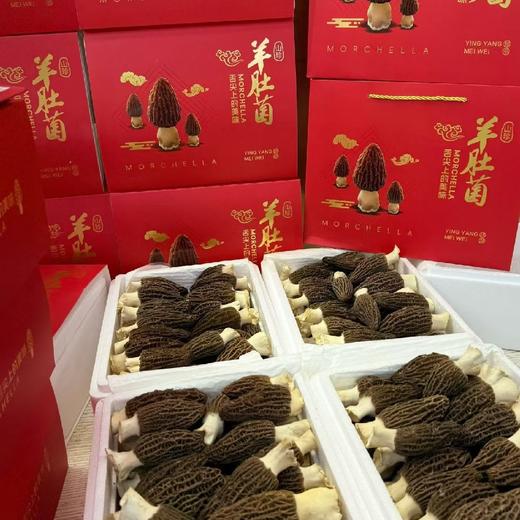 新鲜羊肚菌礼盒 商品图6