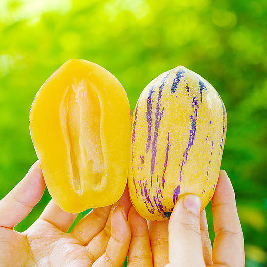 【民勤】沙漠人参果#皮薄肉厚清甜多汁，解渴解腻，民勤沙漠种植，昼夜温差大，雪水灌溉营养丰富 商品图7