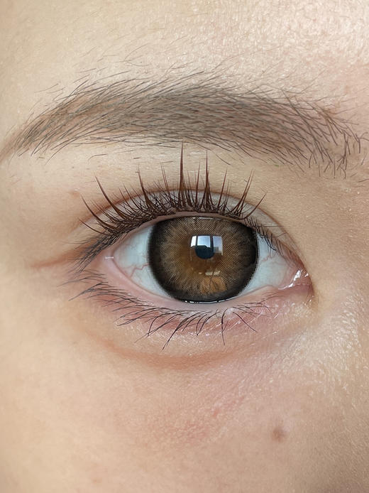 Papadox 复古玛瑙 日抛 十片 14.5mm 参考着色 14.2mm 基弧 8.7 含水 50% 新锐国货 商品图1