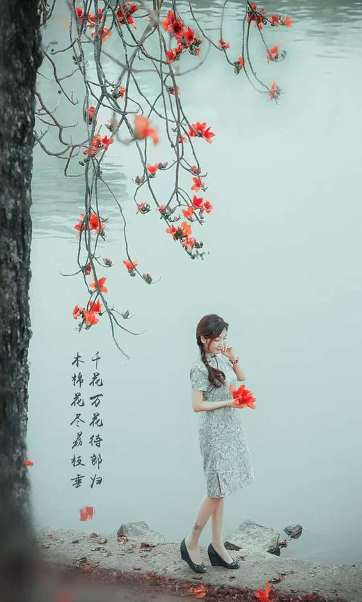 3月17日带你去拍百年古木棉，行摄目前最大葵林（含人像模特） 商品图4