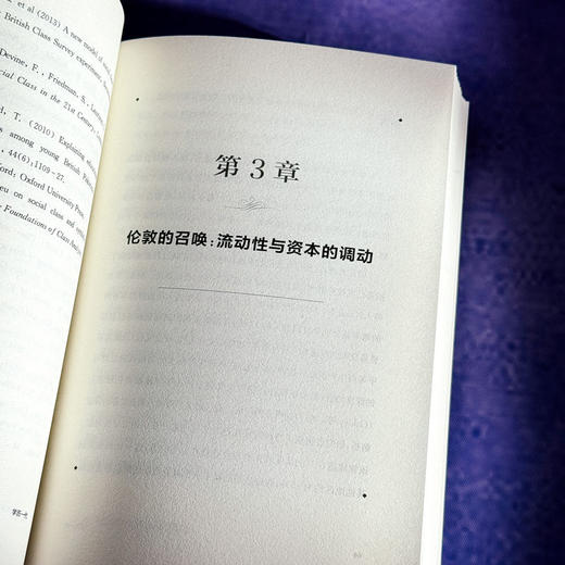 学历一代 后象牙塔时代的价值迷思 文化资本与社会炼金术 商品图10