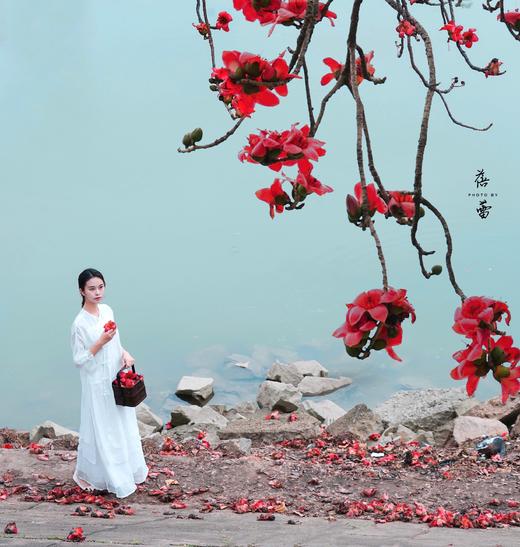 3月17日带你去拍百年古木棉，行摄目前最大葵林（含人像模特） 商品图1