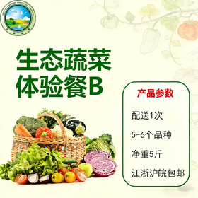 【东滩绿港】生态蔬菜体验餐B（绿色基地种植）