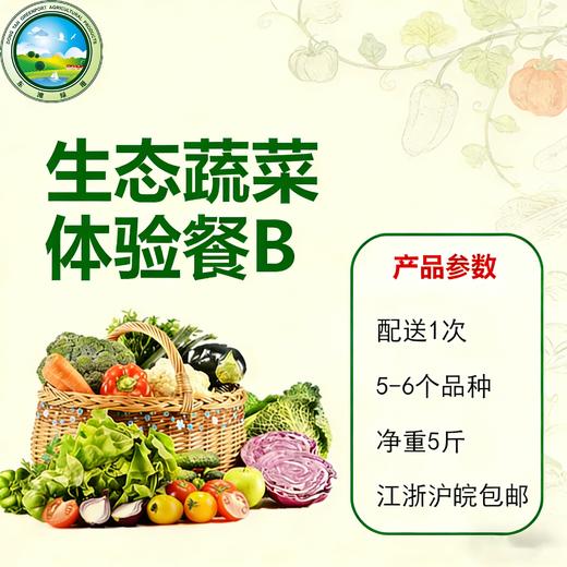 【东滩绿港】生态蔬菜体验餐B（绿色基地种植） 商品图0