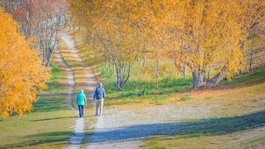 金秋新西兰・光影盛宴17 天摄影团：皇后镇、箭镇、库克山、萤火虫洞、瓦纳卡、好牧羊人教堂、福克斯冰川、霍比特人村 商品图8