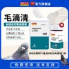 西农【毛滴清粉送胶囊】清理鸽子毛滴虫种幼鸽喷窝赛鸽水便竹节便口腔粘液（西农之光）鸽药 商品缩略图0