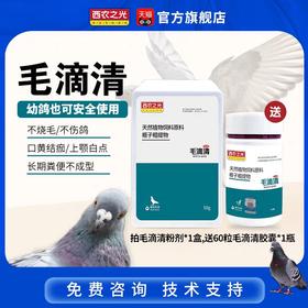 西农【毛滴清粉送胶囊】清理鸽子毛滴虫种幼鸽喷窝赛鸽水便竹节便口腔粘液（西农之光）鸽药