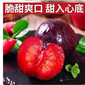 凤凰李（约500G） /份