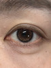 Recolook 原生棕 半年抛 2片 14.5mm 参考着色 13.8mm 基弧 8.6 含水 40% 新锐国货 商品缩略图1