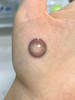 【日抛】莓好方糖·Bollycon丨14.2mm（日抛/一盒10片装） 商品缩略图2
