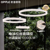 新品双倍积分🔥OPPLE欧普照明26款月光女神客厅法式吊灯意式装饰灯[30天内发货] 商品缩略图0
