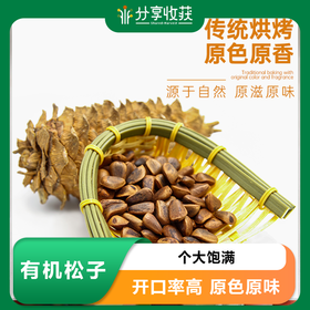 有机松子 | 合作生产 | 公平贸易*Organic pine nuts