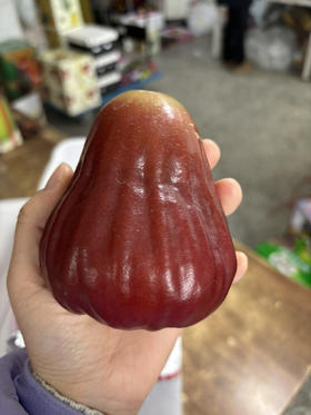 南鹿一号莲雾空运而来！特级果 清甜爽口 刮油解腻 水润多汁！