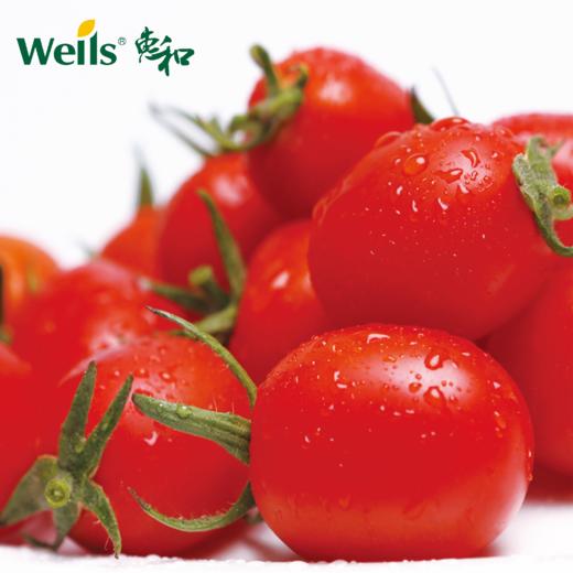 「专业种子」靓丽601 番茄杂交种子 保护地专用的高品质迷你早熟樱桃番茄，果重约15g 商品图0