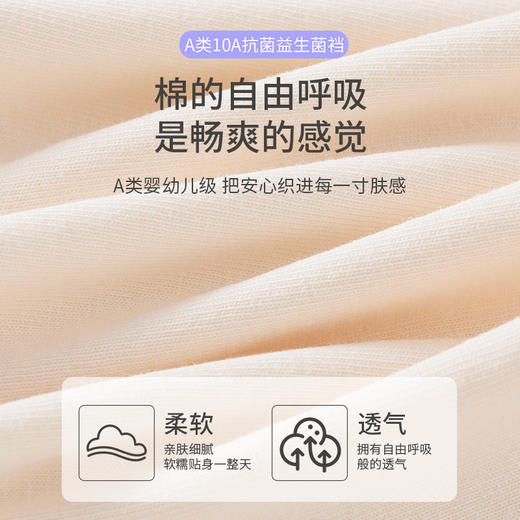 樱姿娜焕新标内裤 商品图2