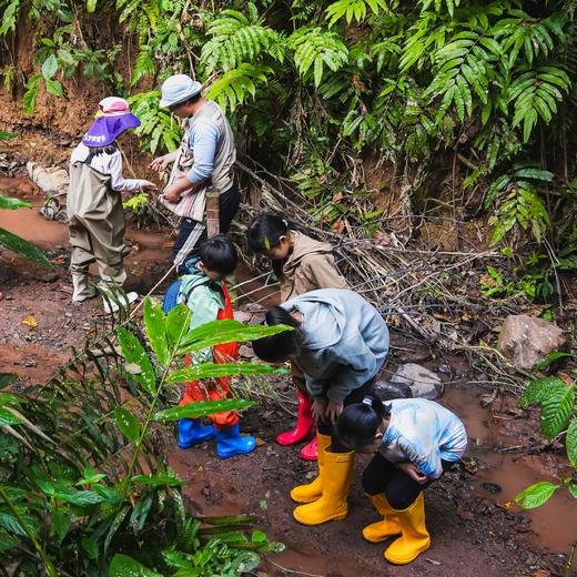 五一特期 | 西双版纳，丛林王国里的人与自然 5天4晚 商品图1