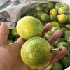 黄金百香果 口感纯甜 放置表皮皱巴口感更佳 27.9/2斤（大果） 商品缩略图1