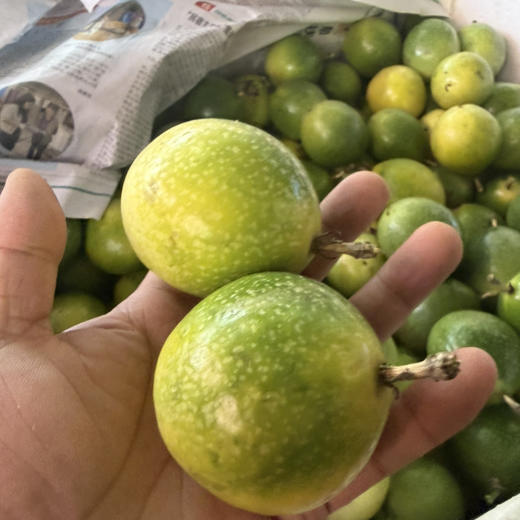 黄金百香果 口感纯甜 放置表皮皱巴口感更佳 27.9/2斤（大果） 商品图1