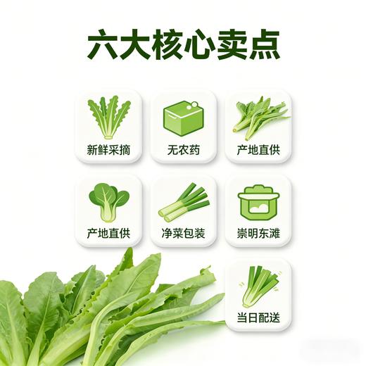 油麦菜（1份，约500g） 商品图2