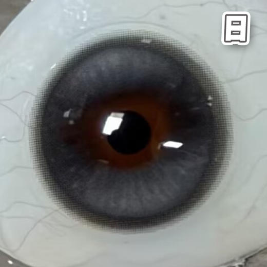 丹宁普鲁士 蓝灰色 14.5mm 基弧8.7【10片装】进口日抛 商品图2