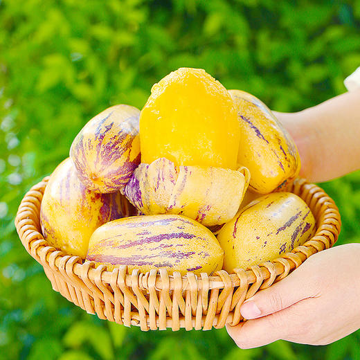 【民勤】沙漠人参果#皮薄肉厚清甜多汁，解渴解腻，民勤沙漠种植，昼夜温差大，雪水灌溉营养丰富 商品图6