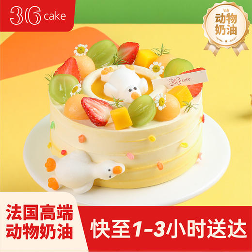 双鱼座·躺平鸭·开心果布丁鲜果蛋糕，可选1.5/2.5/6磅  | 36 CAKE 商品图0
