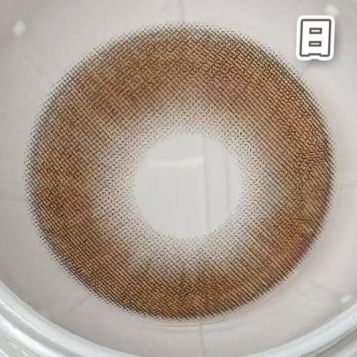 #奶油榛果 巧棕色 14.5mm超大染色直径【6片装】日抛 商品图1