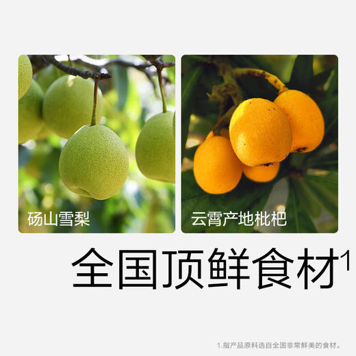 光合星球雪梨枇杷棒60g 商品图2