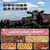 澳洲原切和牛M5霜降板腱牛排 | 牛排中的“牡蛎肉”肉质细嫩多汁 雪花丰富奶香浓郁 低脂低卡低热量 身材管理期千万不能错过的美食 商品缩略图3