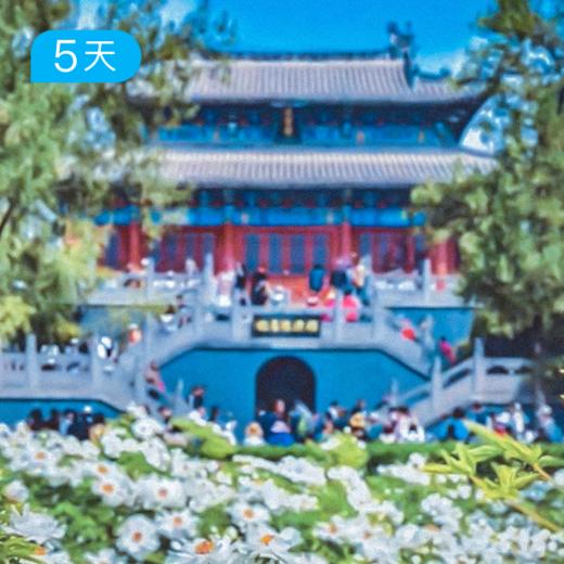 春季老君山+嵩山｜四月洛阳牡丹季 34公里徒步 徒步+赏花+人文 5日 商品图2