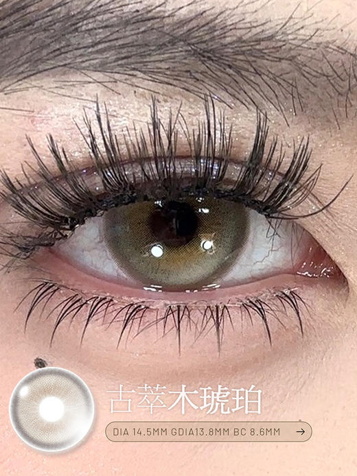 KiraFairy 古萃木琥珀 日抛 十片 14.5mm 参考着色 13.8mm 基弧 8.6 含水 43% 新锐国货 商品图2