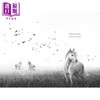 【中商原版】荒野之声 A Horse Named Sky 英文原版 儿童章节读物 冒险故事插图小说读物 进口童书 8岁以上  商品缩略图1