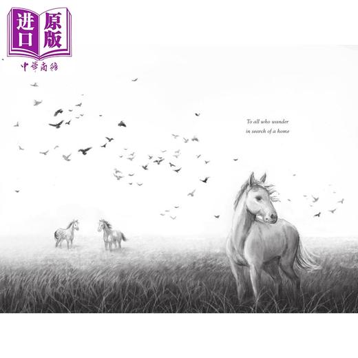 【中商原版】荒野之声 A Horse Named Sky 英文原版 儿童章节读物 冒险故事插图小说读物 进口童书 8岁以上  商品图1