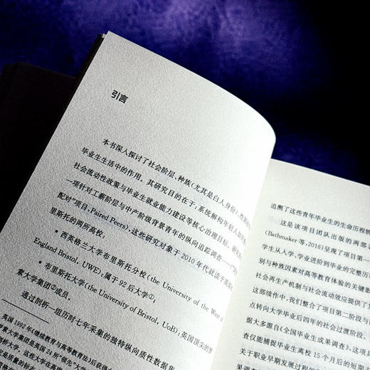 学历一代 后象牙塔时代的价值迷思 文化资本与社会炼金术 商品图8