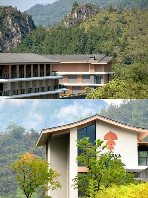 🍃 周末不加价丨仙居悦柳酒店 × 318大促 · 2间夜（可拆分） · 双人晚餐+爱丽丝仙境乐园房套餐 商品图3