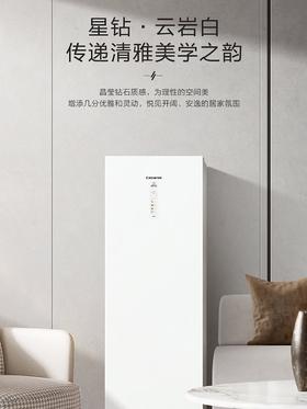 卡萨帝（Casarte）立式家用冻藏柜288升零下40度超低温细胞级锁鲜冷冻柜平嵌零嵌式双变频风冷无霜冻藏转换冰箱 云岩白丨全域风冷丨新一级能效丨 288L