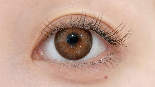 Papadox 古早芭比 日抛 十片 14.5mm 参考着色 14.2mm 基弧 8.7 含水 50% 新锐国货 商品图2